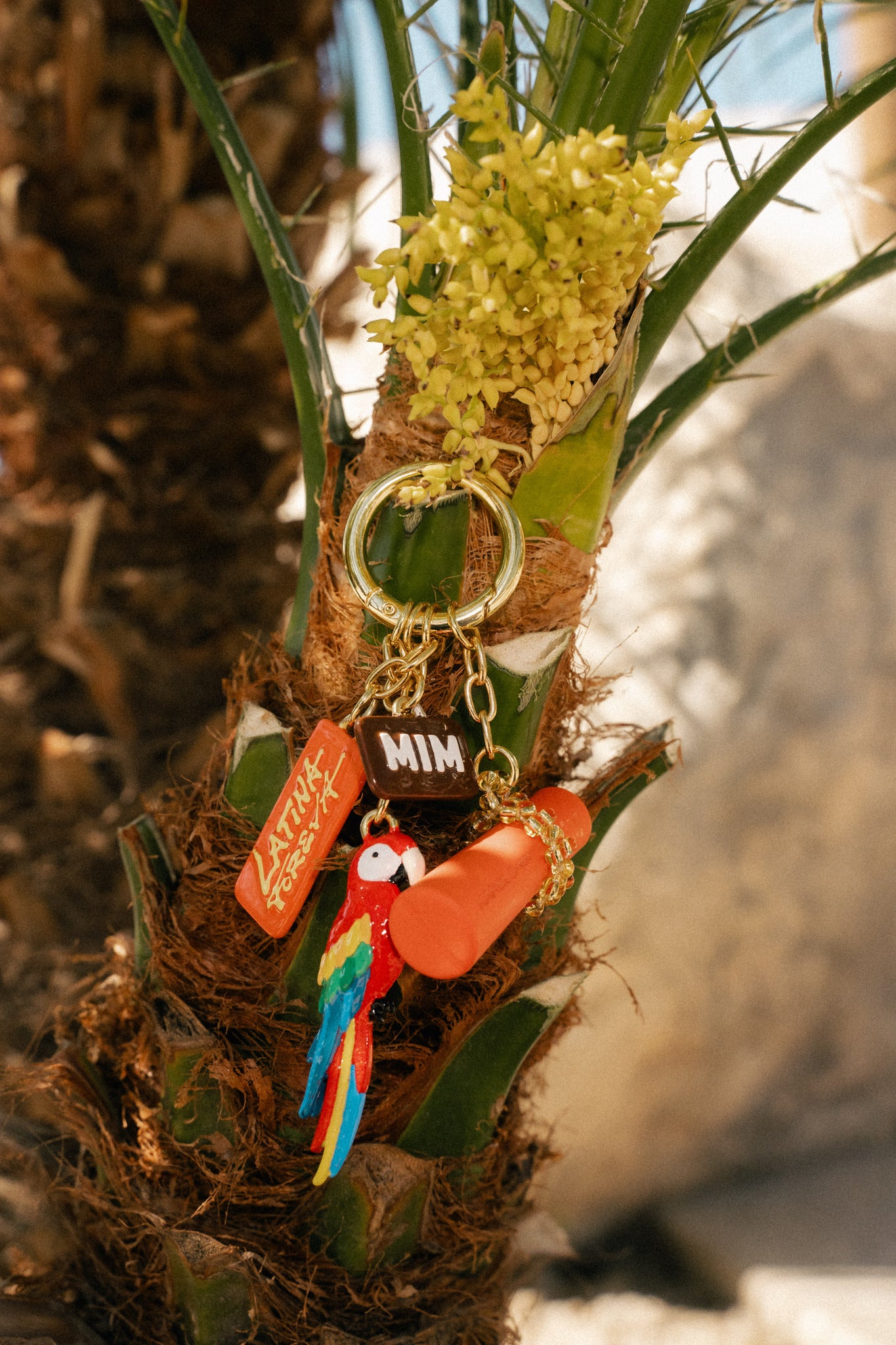 CHARMS + BAG LATINA FOREVA